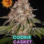 Насіння конопель Cookie Casket від Barney's Farm